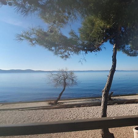 Apartment Zadar - Pine Diklo Dış mekan fotoğraf
